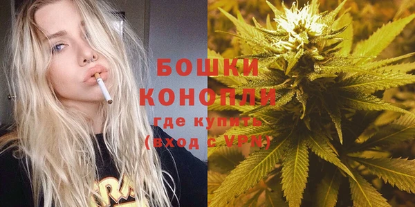 крисы Нягань