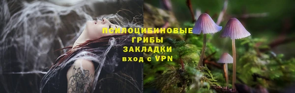 не бодяженный Армянск