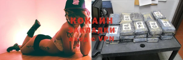 гидра Арсеньев