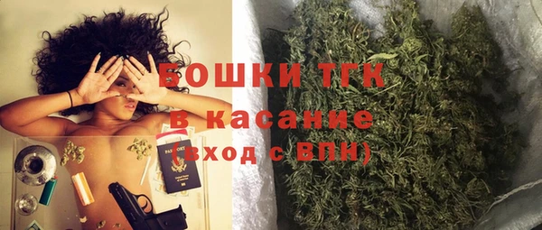 гидра Арсеньев