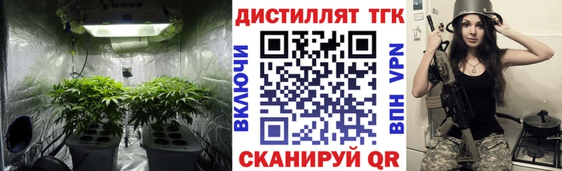 как найти   Аша  Дистиллят ТГК концентрат 